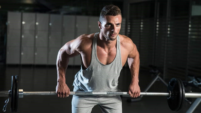 10 Best Muscle Building Back Exercises